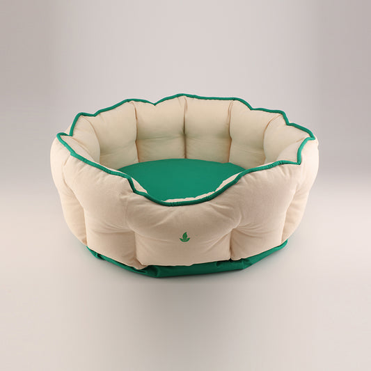 Lotus Bed